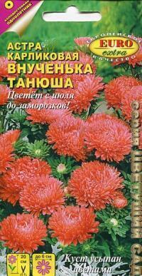 Купить оптом в Ботанике семена Астра Внученька Танюша карликовая Аэл бренд Аэлита