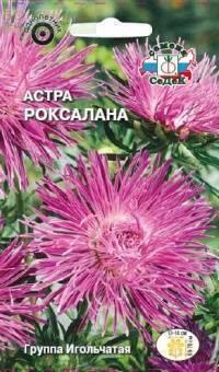 Купить оптом в Ботанике семена Астра Роксалана Сед бренд СеДеК