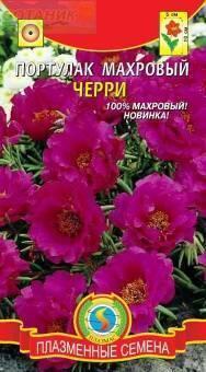 Купить оптом в Ботанике семена Портулак Махровый Черри Плз бренд Плазмас