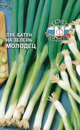 Купить оптом в Ботанике семена Лук батун Молодец Сед бренд СеДеК
