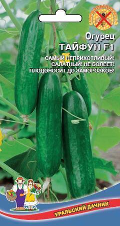 Купить оптом в Ботанике семена Огурец Тайфун F1 УД бренд Уральский дачник