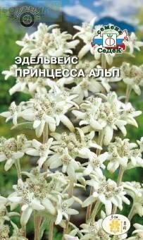 Купить оптом в Ботанике семена Эдельвейс Принцесса Сед бренд СеДеК