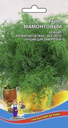 Купить оптом в Ботанике семена Укроп Мамонтовый УД бренд Уральский дачник