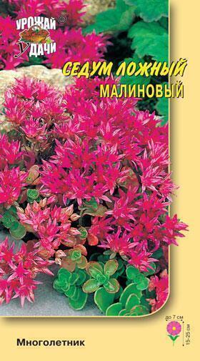Купить оптом в Ботанике семена Седум Ложный малиновый УУ бренд Урожай Удачи