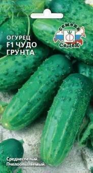 Купить оптом в Ботанике семена Огурец Чудо грунта F1 Сед бренд СеДеК