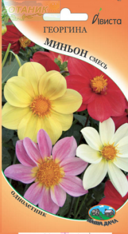 Купить оптом в Ботанике семена Георгина Миньон смесь Ав бренд Ависта