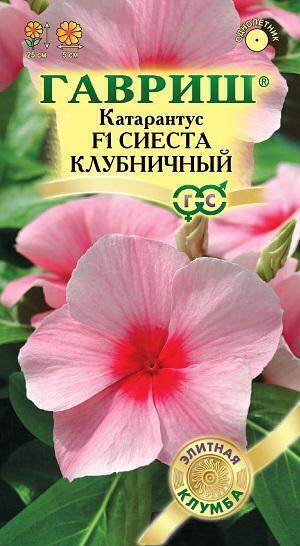 Купить оптом в Ботанике семена Катарантус Сиеста клубничный F1 Гав бренд Гавриш