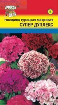 Купить оптом в Ботанике семена Гвоздика турецкая Супер Дуплекс УУ бренд Урожай Удачи