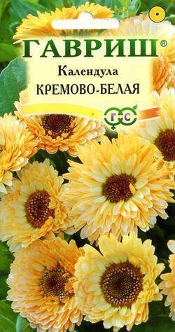 Купить оптом в Ботанике семена Календула Кремово-белая Гав бренд Гавриш