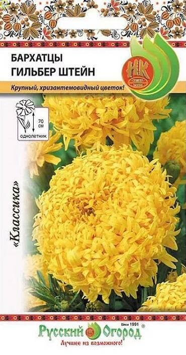 Купить оптом в Ботанике семена Бархатцы Гильбер Штейн НК бренд НК