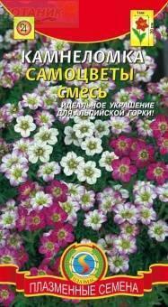 Купить оптом в Ботанике семена Камнеломка Самоцветы Плз бренд Плазмас