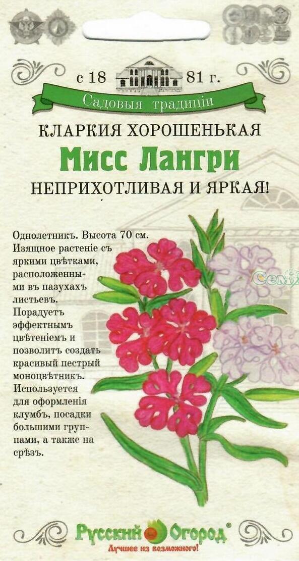 Купить оптом в Ботанике семена Кларкия Мисс Лангри смесь НК бренд НК