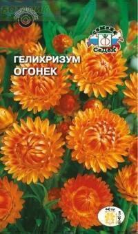 Купить оптом в Ботанике семена Гелихризум Огонек Сед бренд СеДеК