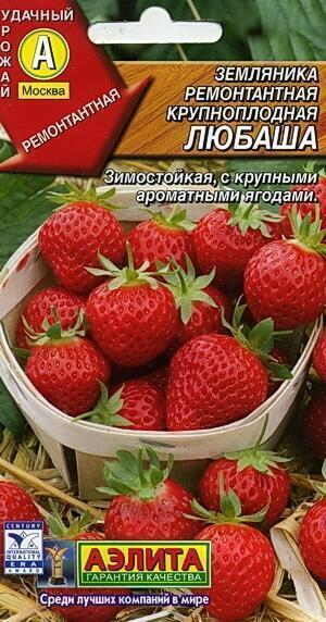 Купить оптом в Ботанике семена Земляника Любаша Аэл бренд Аэлита
