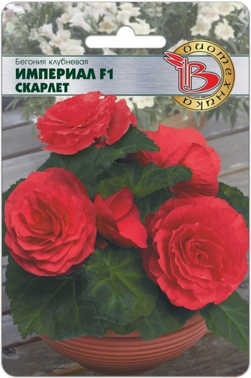 Купить оптом в Ботанике семена Бегония Империал скарлет F1 Био бренд Биотехника