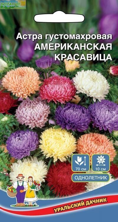 Купить оптом в Ботанике семена Астра Американская Красавица УД бренд Уральский дачник