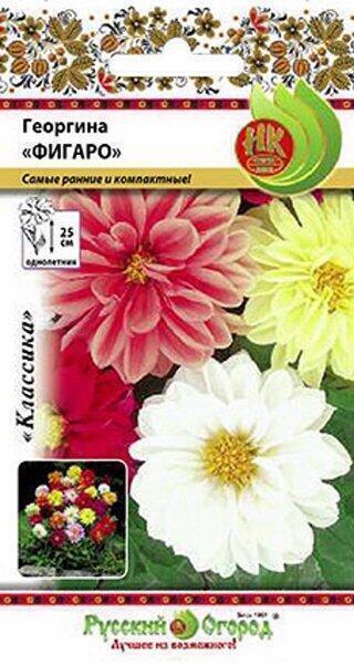 Купить оптом в Ботанике семена Георгина Фигаро смесь НК бренд НК