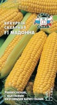 Купить оптом в Ботанике семена Кукуруза Мадонна F1 Сед бренд СеДеК