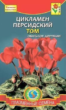 Купить оптом в Ботанике семена Цикламен Том персидский Плз бренд Плазмас