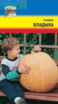 Купить оптом в Ботанике семена Тыква Владыка УУ бренд Урожай Удачи