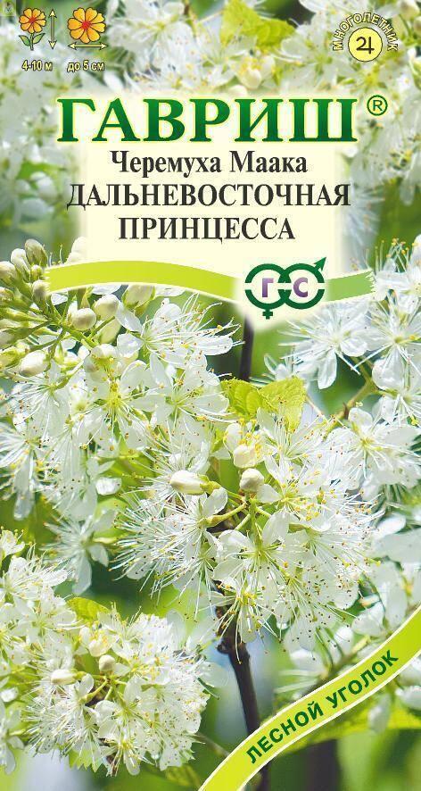 Купить оптом в Ботанике семена Черемуха Дальневосточная принцесса Гав бренд Гавриш