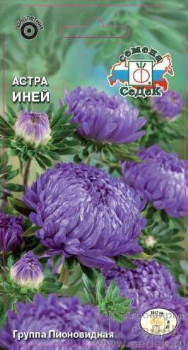 Купить оптом в Ботанике семена Астра Иней серебристо-синяя Сед бренд СеДеК