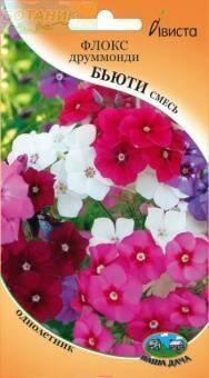 Купить оптом в Ботанике семена Флокс друммонди Бьюти смесь Ав бренд Ависта