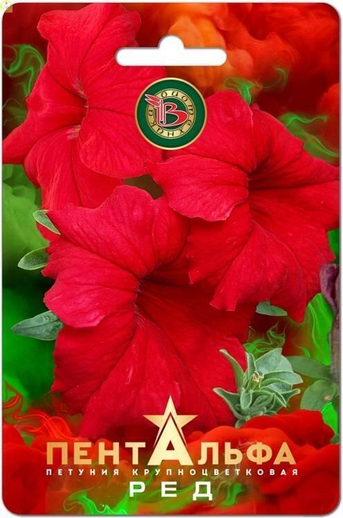 Купить оптом в Ботанике семена Петуния Пентальфа Ред F1 Био бренд Биотехника