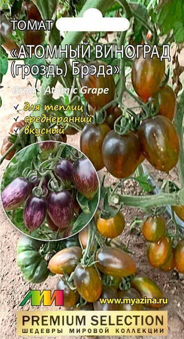 Купить оптом в Ботанике семена Томат Атомный виноград Брэда Мз бренд Мязина Л.А.