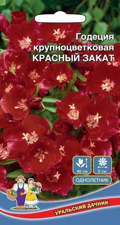 Купить оптом в Ботанике семена Годеция Красный Закат УД бренд Уральский дачник