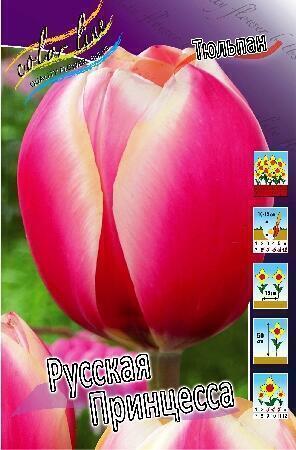 Купить оптом в Ботанике Тюльпан Русская Принцесса 10 шт