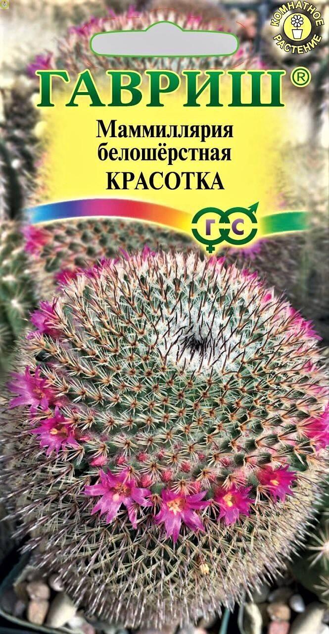 Купить оптом в Ботанике семена Маммиллярия Красотка Гав бренд Гавриш