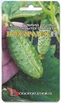 Купить оптом в Ботанике семена Огурец Новгородец F1 Био бренд Биотехника