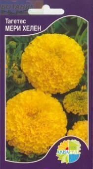 Купить оптом в Ботанике семена Бархатцы Мери Хелен Акв бренд Акварель