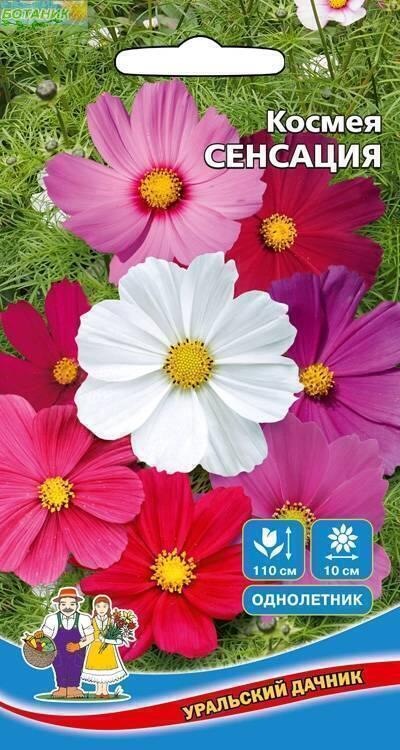 Купить оптом в Ботанике семена Космея Сенсация смесь УД бренд Уральский дачник