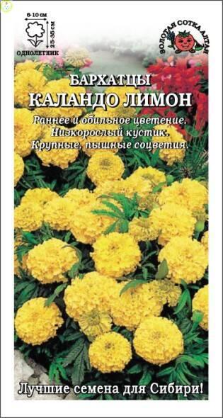 Купить оптом в Ботанике семена Бархатцы Каландо Лимон ЗС бренд Золотая сотка
