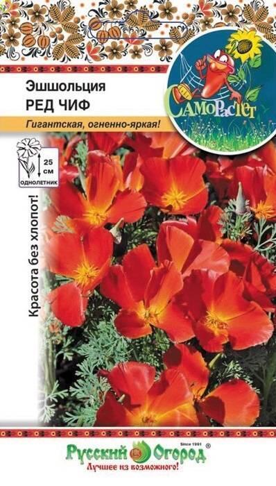 Купить оптом в Ботанике семена Эшшольция Ред Чиф НК бренд НК