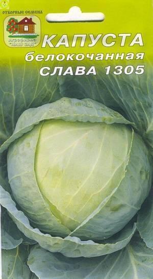 Купить оптом в Ботанике семена Капуста белокочанная Слава Наш бренд Наш сад