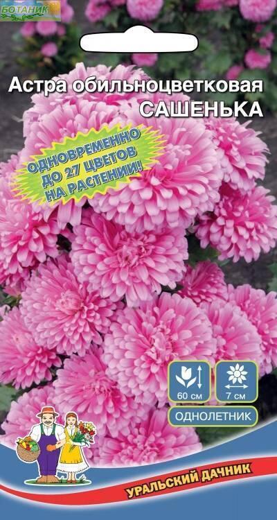 Купить оптом в Ботанике семена Астра Сашенька УД бренд Уральский дачник