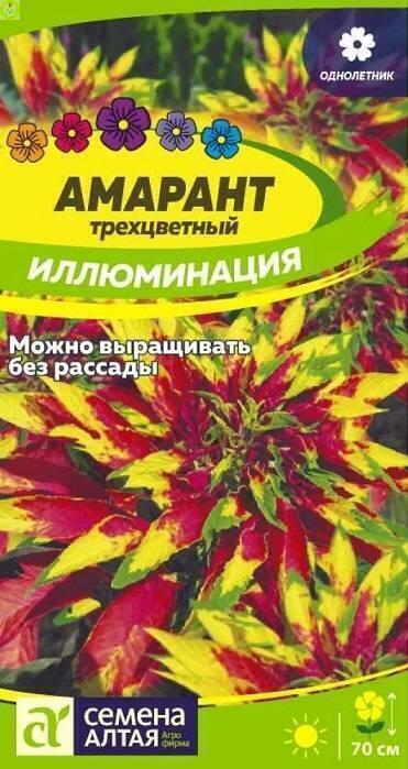 Купить оптом в Ботанике семена Амарант Иллюминация трехцветный СА бренд Семена Алтая