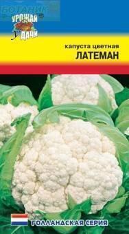 Купить оптом в Ботанике семена Капуста цветная Латеман УУ бренд Урожай Удачи