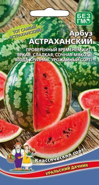 Купить оптом в Ботанике семена Арбуз Астраханский УД бренд Уральский дачник