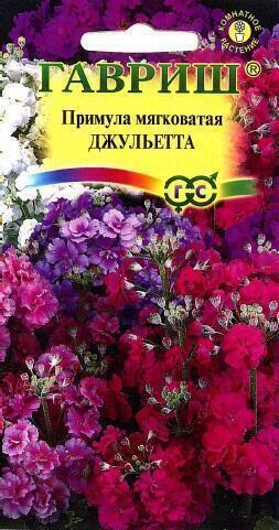 Купить оптом в Ботанике семена Примула Джульетта мягковатая Гав бренд Гавриш