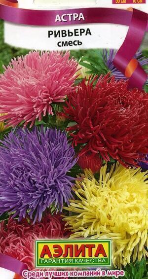 Купить оптом в Ботанике семена Астра Ривьера смесь Аэл бренд Аэлита