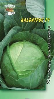 Купить оптом в Ботанике семена Капуста белокочанная Альбатрос F1 УУ бренд Урожай Удачи