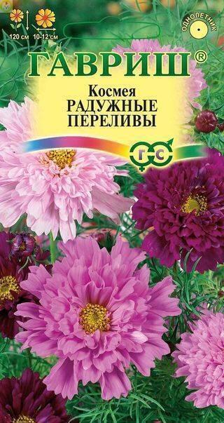 Купить оптом в Ботанике семена Космея Радужные переливы Гав бренд Гавриш