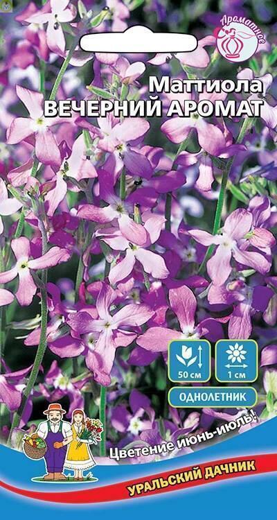 Купить оптом в Ботанике семена Маттиола Вечерний аромат УД бренд Уральский дачник