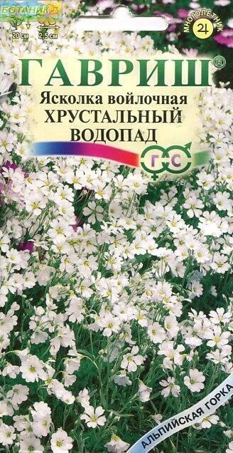 Купить оптом в Ботанике семена Ясколка Хрустальный водопад войлочная Гав бренд Гавриш
