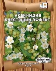 Купить оптом в Ботанике семена Актинидия Блестящий эффект Аэл бренд Аэлита