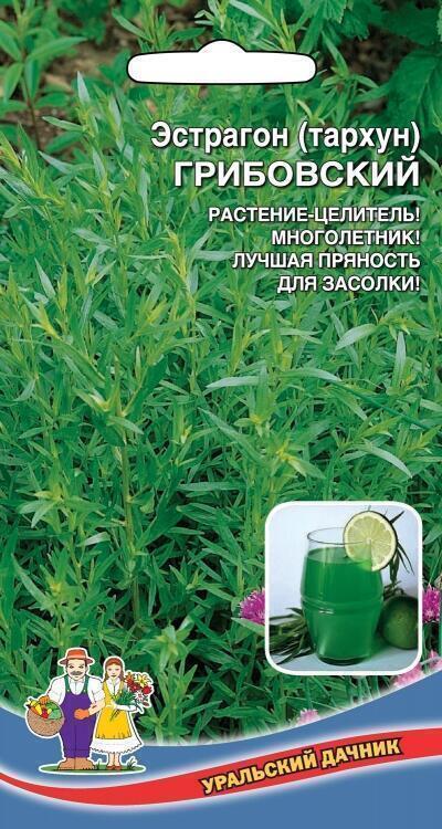 Купить оптом в Ботанике семена Эстрагон Грибовский (тархун) УД бренд Уральский дачник